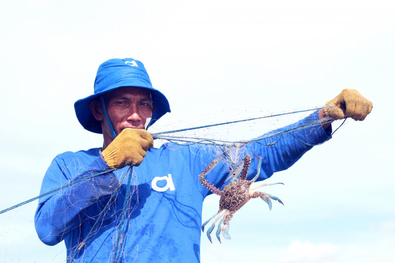 Aruna Fisherman|Global Seafood Market Graph