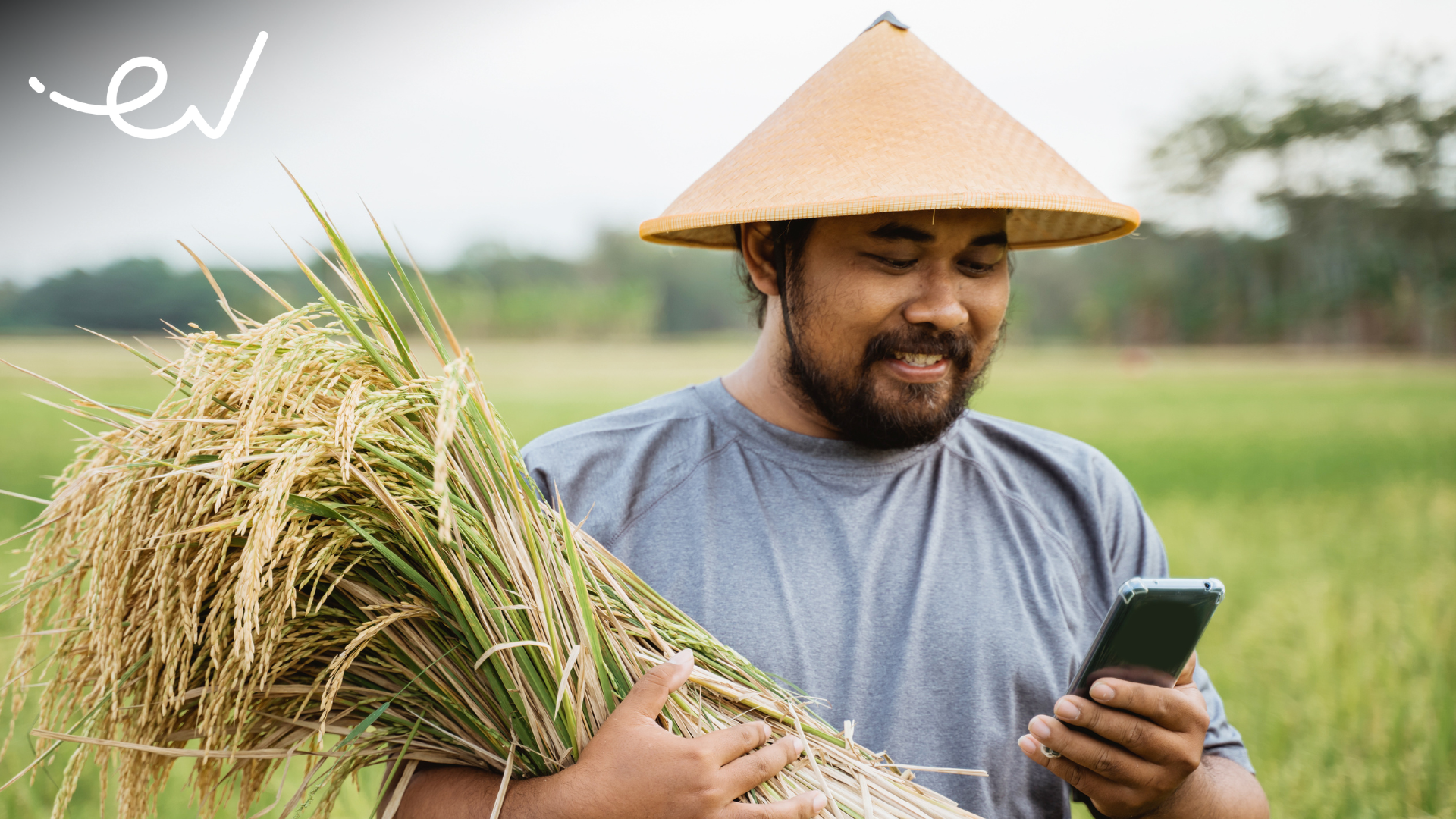 The role of fintech lending to Indonesia’s agribusiness sector